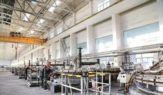 我縣一企業(yè)總經(jīng)理獲國務院政府特殊津貼