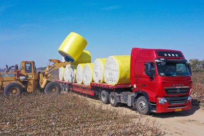 非凡十年 | 新疆生產建設兵團︰努力形成新時代兵團維穩(wěn)戍邊新優(yōu)勢