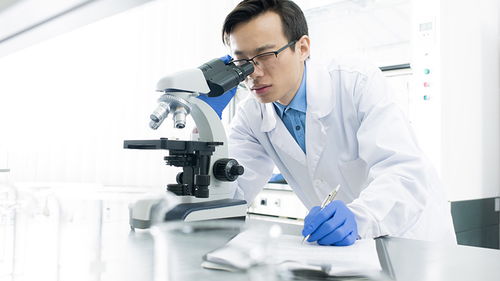 玩具檢測認證 構筑安全防線，驅動行業高質量發展