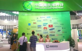 第十三屆中國南京國際軟件產(chǎn)品和信息服務(wù)交易博覽會(huì)盛大開幕，聚焦信息咨詢服務(wù)新趨勢(shì)